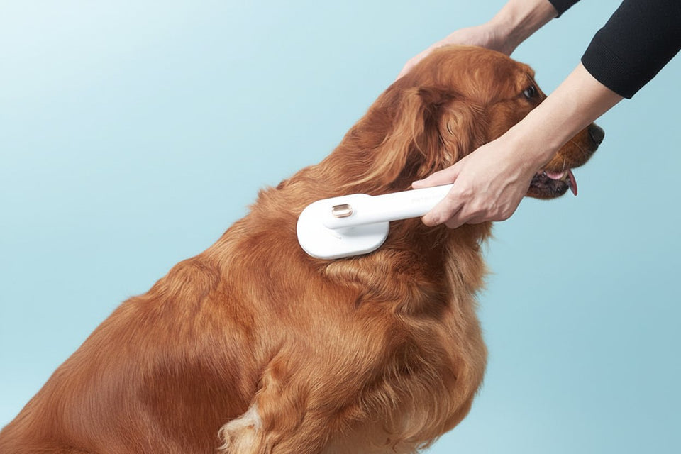 Golden dog being groomed with self-cleaning deshedding brush