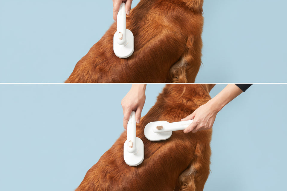 Golden dog being groomed with self-cleaning deshedding brush