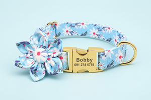 Light blue floral dog collar with gold buckle and removable flower