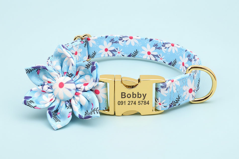 Light blue floral dog collar with gold buckle and removable flower