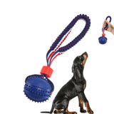 Blue and red interactive dog balls for active play