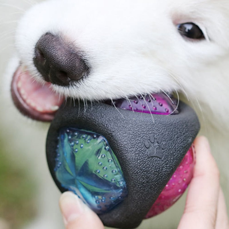 Colorful rubber dog balls for interactive chewing and fetch