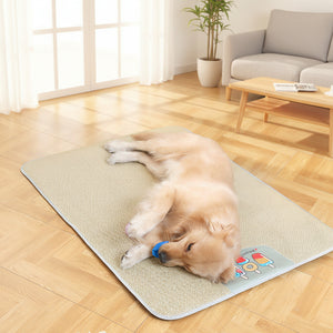 Shiba Inu dog resting on cooling mat with Happy Summer ice cream design