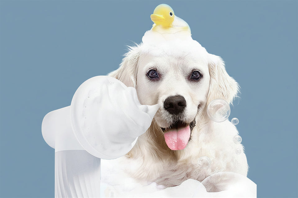 White dog enjoying bath with automatic foaming shampoo brush