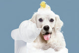 White dog enjoying bath with automatic foaming shampoo brush