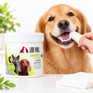 Golden retriever and cat next to jar of pet dental cleaning wipes