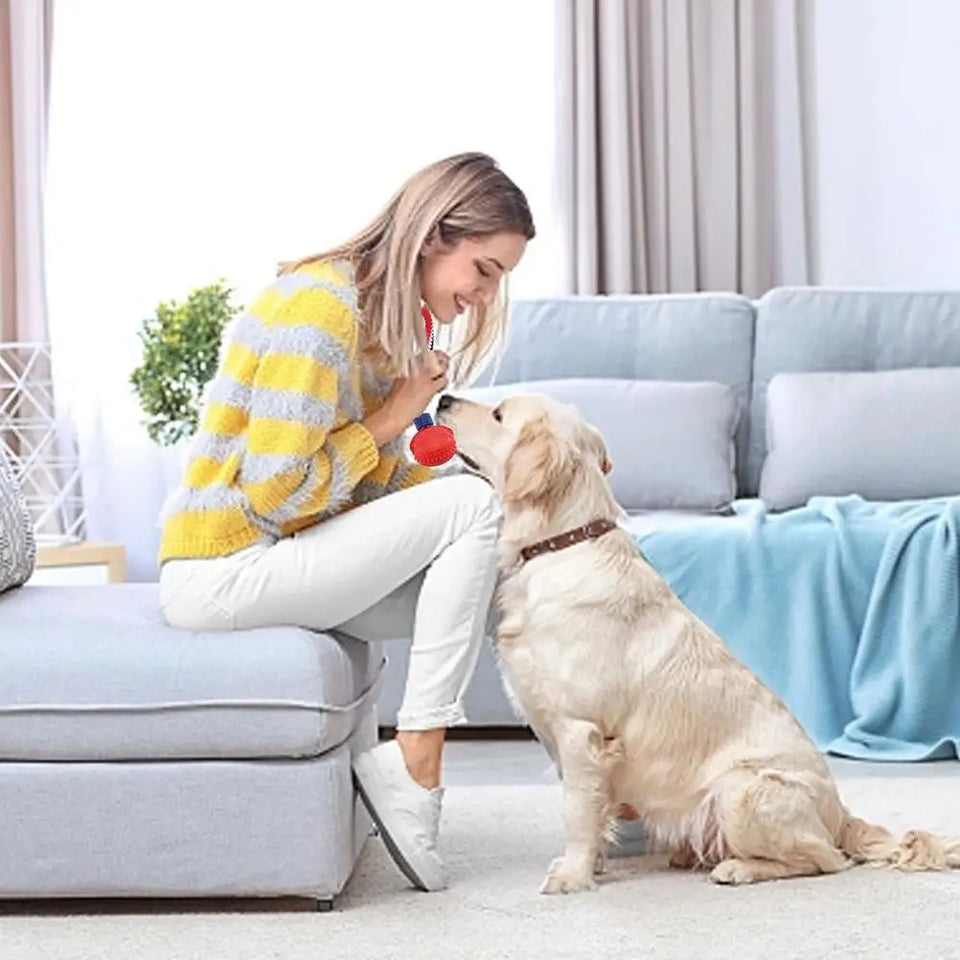 Dog playing with a rope attached chew ball toy