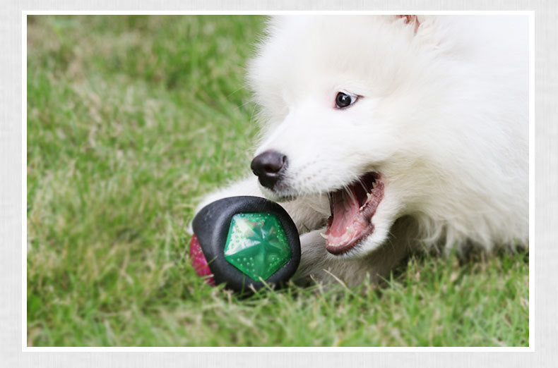Dog playing with a glow-in-the-dark interactive rubber ball