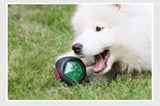 Dog playing with a glow-in-the-dark interactive rubber ball