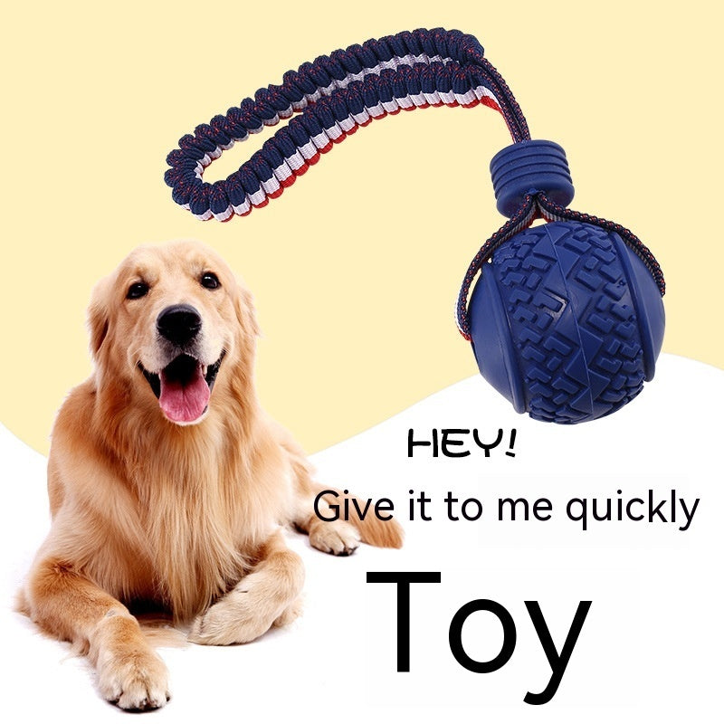 Dog playing with an interactive toy ball indoors