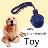 Dog playing with an interactive toy ball indoors
