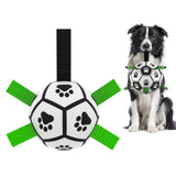 Dog soccer ball floating in water during outdoor play