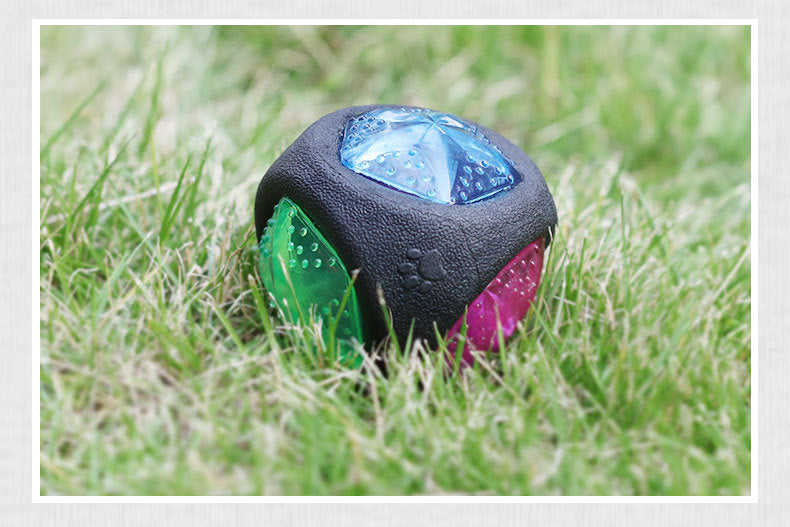 Glow-in-the-dark dog ball outdoors on grass for interactive play