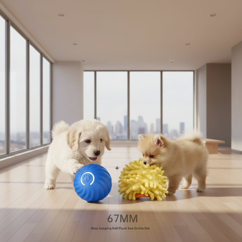 Two cute puppies playing on the floor with a 67mm blue interactive bouncing dog ball and a yellow sea urchin sleeve cover