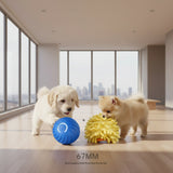 Two cute puppies playing on the floor with a 67mm blue interactive bouncing dog ball and a yellow sea urchin sleeve cover