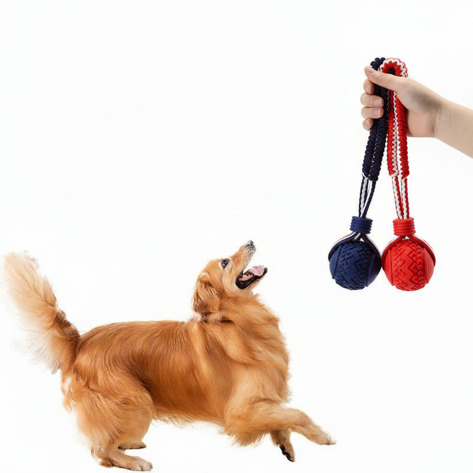 Interactive dog toy ball with rope for chewing, tugging, fetching and training