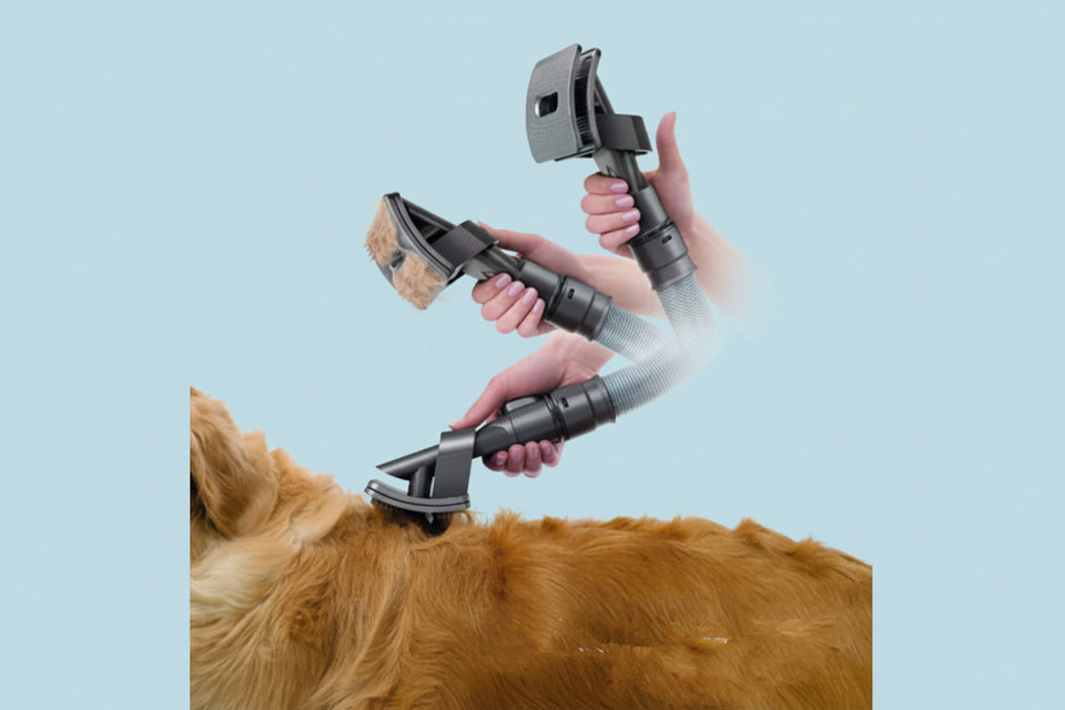 Man using vacuum-powered grooming brush on golden dog at home