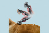 Man using vacuum-powered grooming brush on golden dog at home