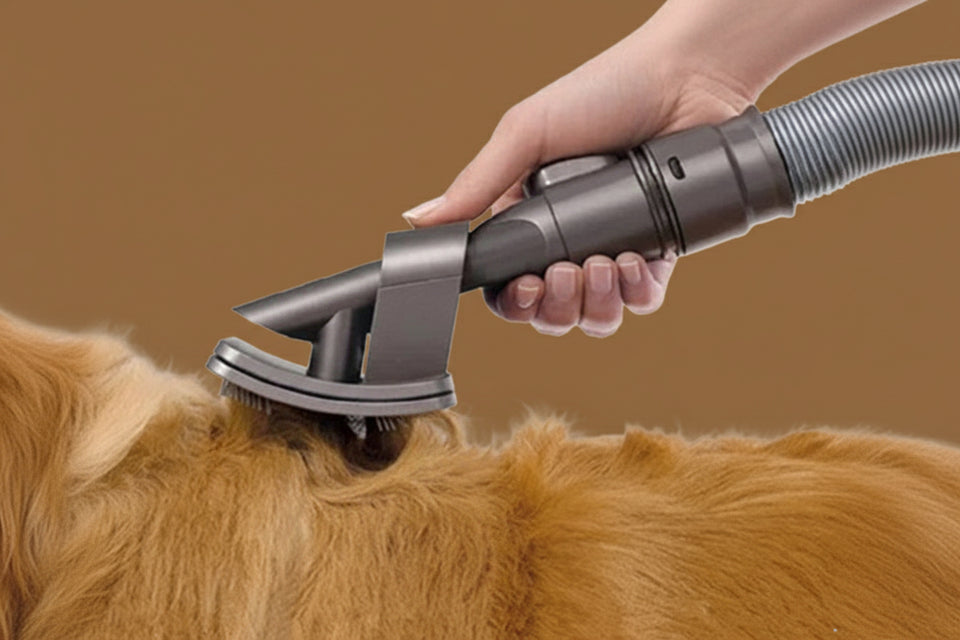 Golden Retriever being groomed with vacuum pet hair removal brush attachment