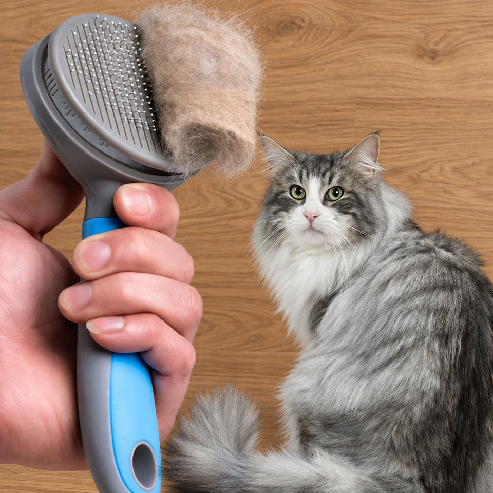 Steel needle brush grooming a fluffy cat