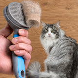 Steel needle brush grooming a fluffy cat