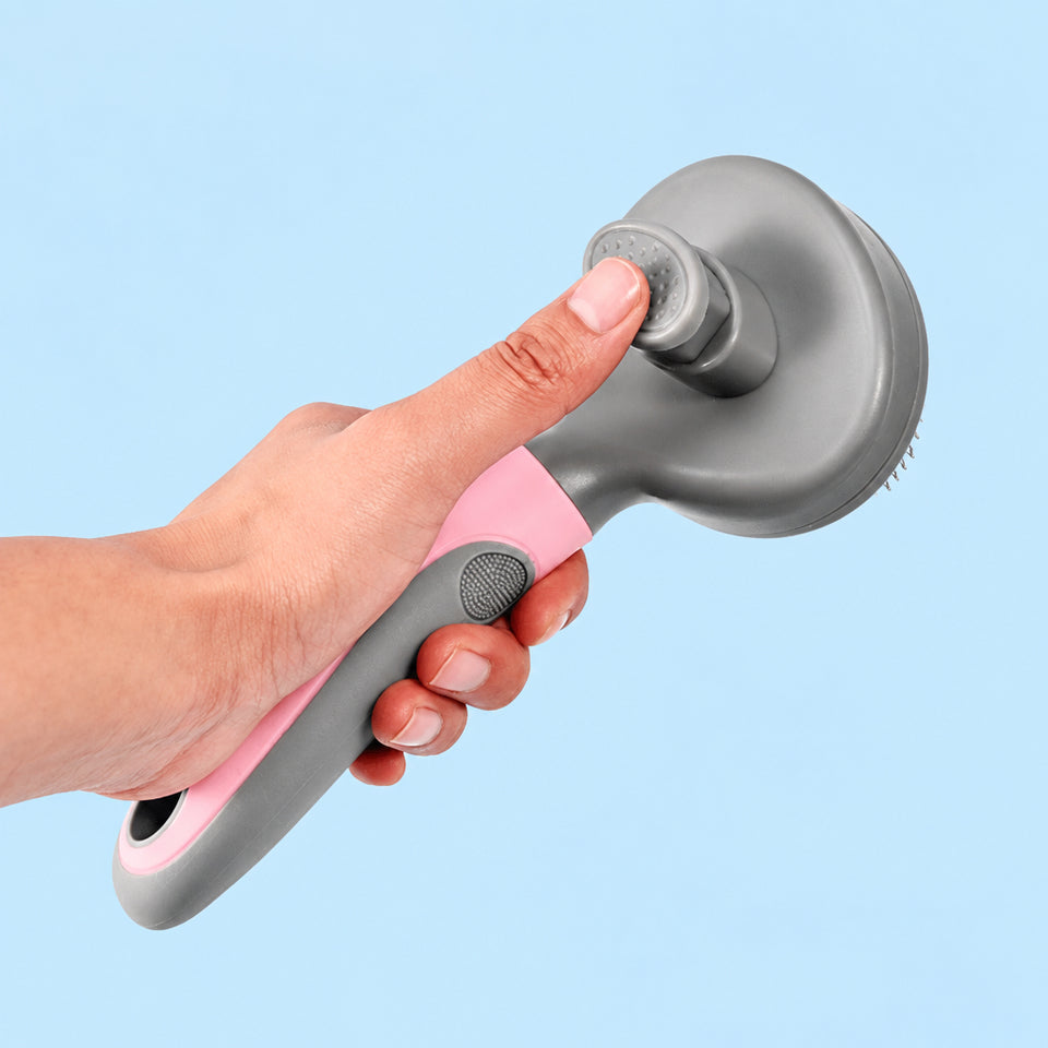 Hand holding blue pet steel needle brush
