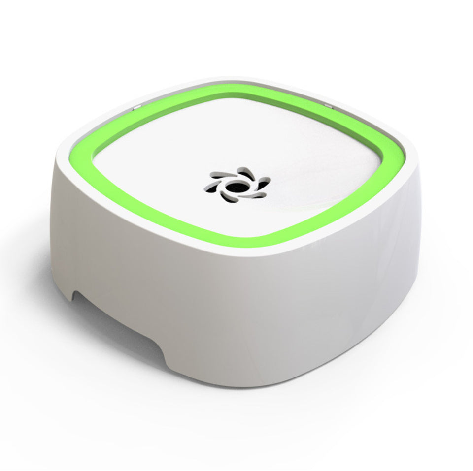 Automatic pet water fountain with blue accent ring and white base