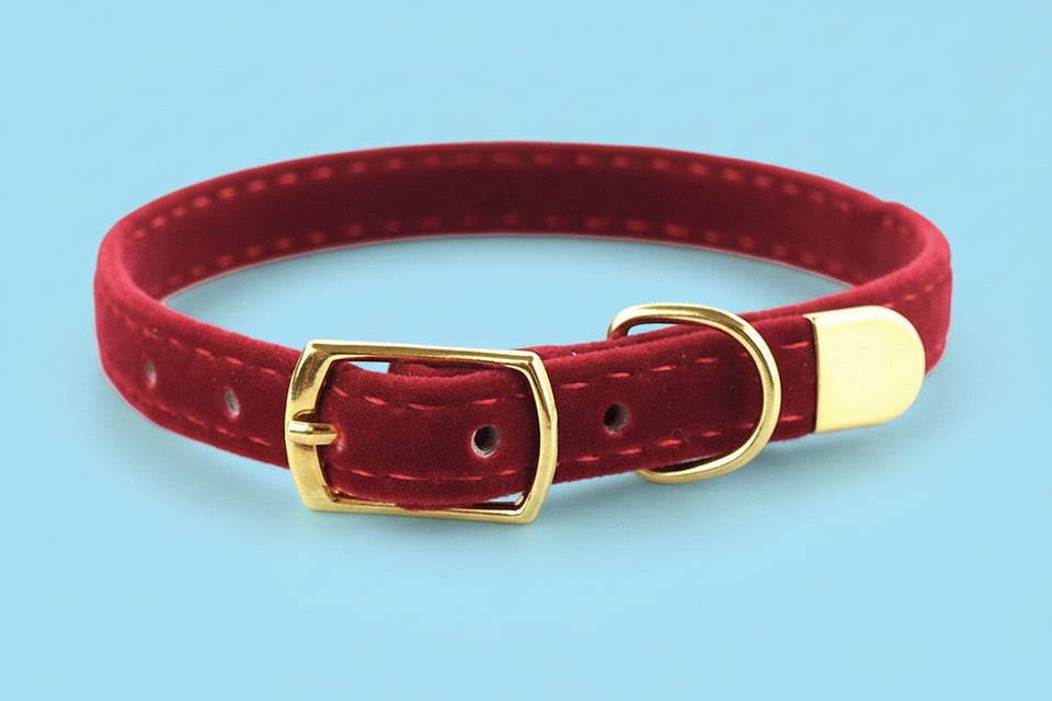 Close-up of red soft flocking cat collar with gold hardware