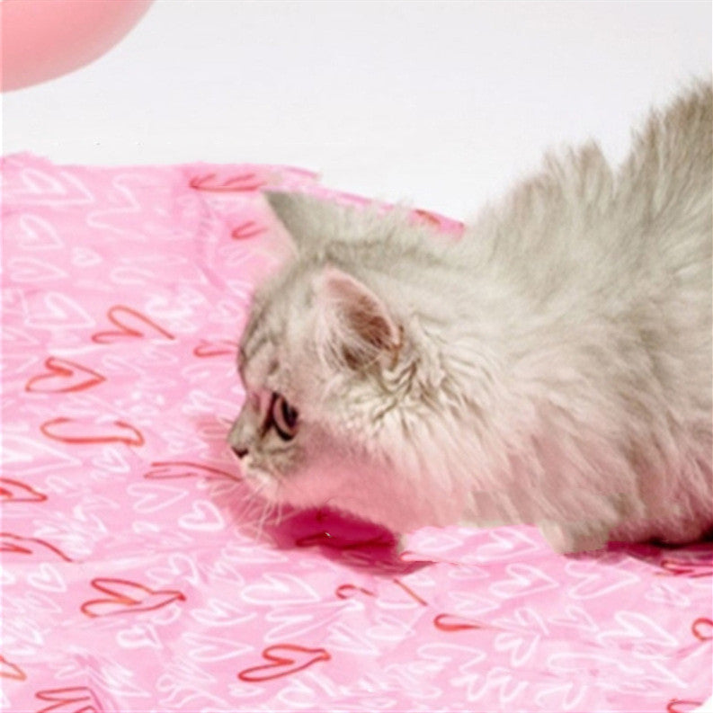 Self-moving bouncing cat toy ball on pink surface