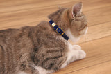Black soft velvet cat collar with gold buckle